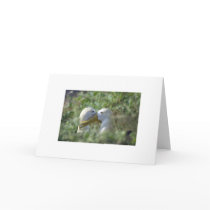 Mated for Life Card