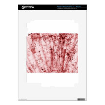 materia anti pegatinas skins para iPad 3