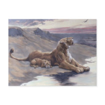Maternal Care postcards