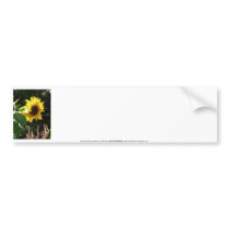 maternal sunflower bumper stickers by dlmtleArt maternal sunflower bumper stickers