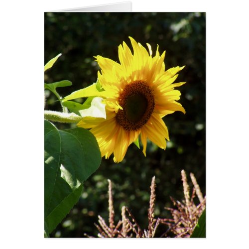 maternal sunflower card
