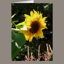 maternal sunflower cards