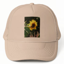 maternal sunflower hats