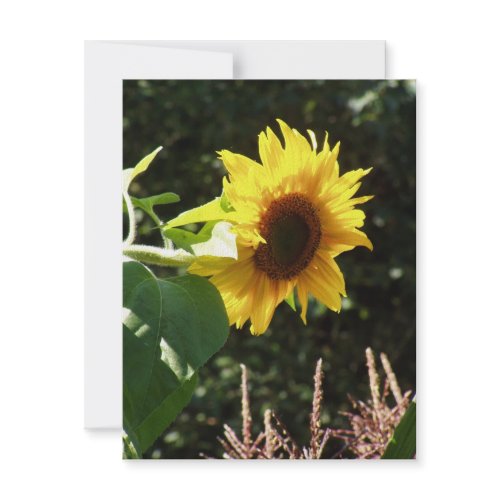 maternal sunflower invitation