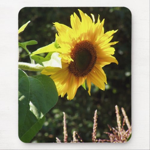 maternal sunflower mousepad