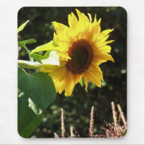 maternal sunflower mousepads