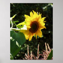 maternal sunflower print