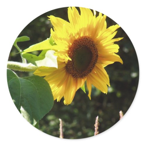 maternal sunflower sticker