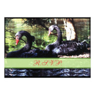 Mates for Life Black Swans Reply Card Custom Invitations