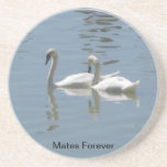 Mates Forever Swan Coaster