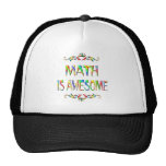Math is Awesome Hat