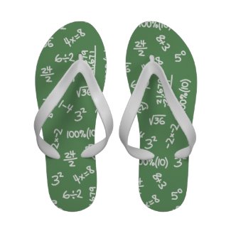 Math Lovers Fun Mathematical Equations Slippers