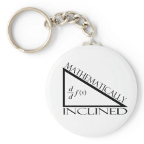 Mathematically Inclined Key Chains
