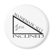 Mathematically Inclined Refrigerator Magnets