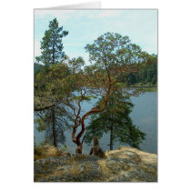 Matheson Lake, British Columbia cards by kchwxdr Matheson Lake, British Columbia cards