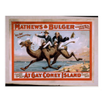 Mathews & Bulger, 'At Gay Coney Island' Vintage Th postcards