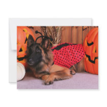 Mathias - Belgian Turvuren invitations