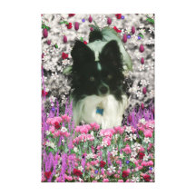 Matisse in Flowers - White & Black Papillon Dog Canvas Prints