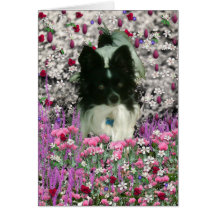 Matisse in Flowers - White & Black Papillon Dog Cards