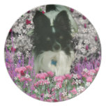 Matisse in Flowers - White & Black Papillon Dog Party Plate