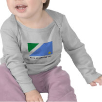 Mato Grosso do Sul, Brazil Flag Shirt