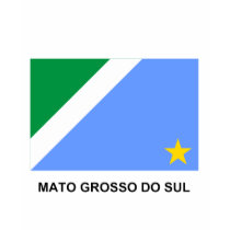 Mato Grosso do Sul, Brazil Flag t-shirts