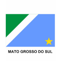 Mato Grosso do Sul, Brazil Flag t-shirts