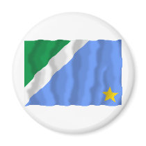 Mato Grosso do Sul, Brazil Waving Flag magnets