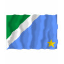 Mato Grosso do Sul, Brazil Waving Flag t-shirts