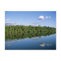 Mato Grosso State, Amazon, Brazil. Forested