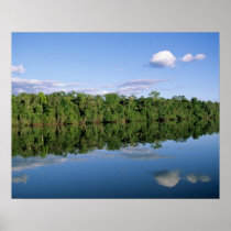Mato Grosso State, Amazon, Brazil. Forested