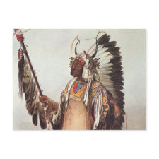 Native American Indian Postcards