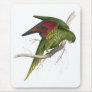 Maton’s Parrakeet by Edward Lear Mousemats
