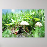 Matroshka in a Mushroom Patch Posters