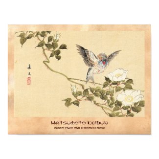 Matsumoto Keibun Bird and Flower Album Zebra Finch Poster