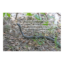 Matthew 10:16 Scripture Poster posters