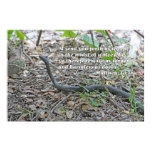 Matthew 10:16 Scripture Poster