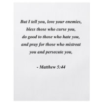MATTHEW 5:44 flyers