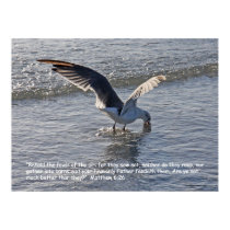 Matthew 6:26 Scripture Poster posters by cherylarogers Matthew 6:26 Scripture Poster posters