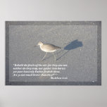 Matthew 6:26 Scripture Poster, Version C posters