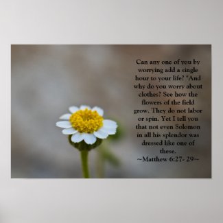 Matthew 6:27- 29 Poster print