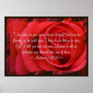 Matthew 6:28-29 Poster print