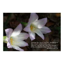 Matthew 6:28 & 29 Scripture Poster posters by cherylarogers Matthew 6:28 & 29 Scripture Poster posters