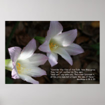 Matthew 6:28 & 29 Scripture Poster