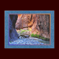 Matthew 7:13-14 Narrow Gate Cards postcards