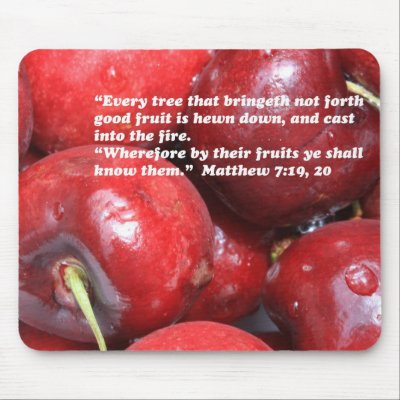 by their fruits