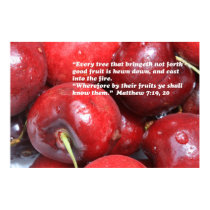 Matthew 7:19, 20 Scripture Poster posters