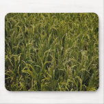 Mature rice crop texture mouse pad