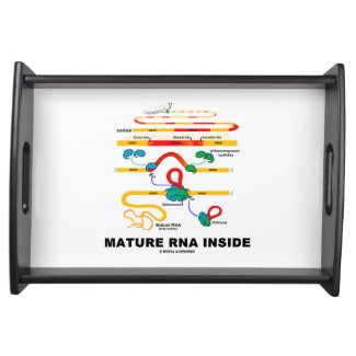 Mature RNA Inside Biology Humor Serving Platter