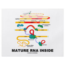 Mature RNA Inside flyers